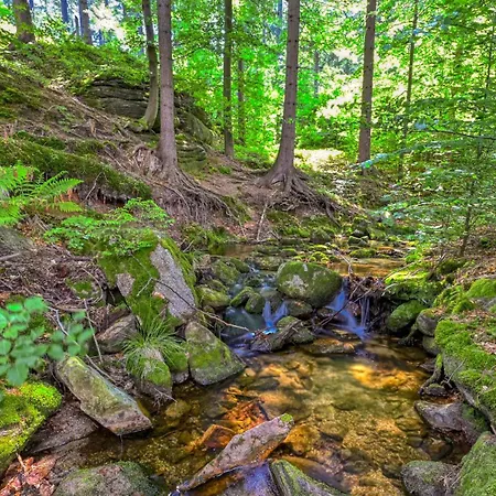 Simjes Kilinskiego 17 - Centrum, Przy Wyciagu, Blisko Szlakow Apartmán