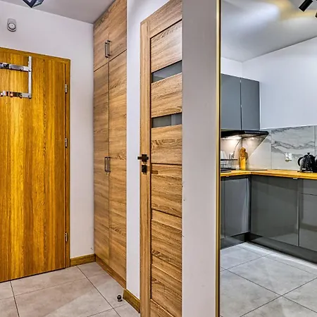 Simjes Kilinskiego 17 - Centrum, Przy Wyciagu, Blisko Szlakow Sklářská Poruba