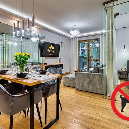 Apartment Kilinskiego 17 - Centrum, Przy Wyciagu, Blisko Szlakow