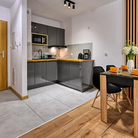 Simjes Kilinskiego 17 - Centrum, Przy Wyciagu, Blisko Szlakow شكلارسكا بوريبا