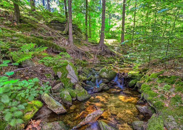 Simjes Kilińskiego 17 - Centrum, Przy Wyciągu, Blisko Szlaków Apartament